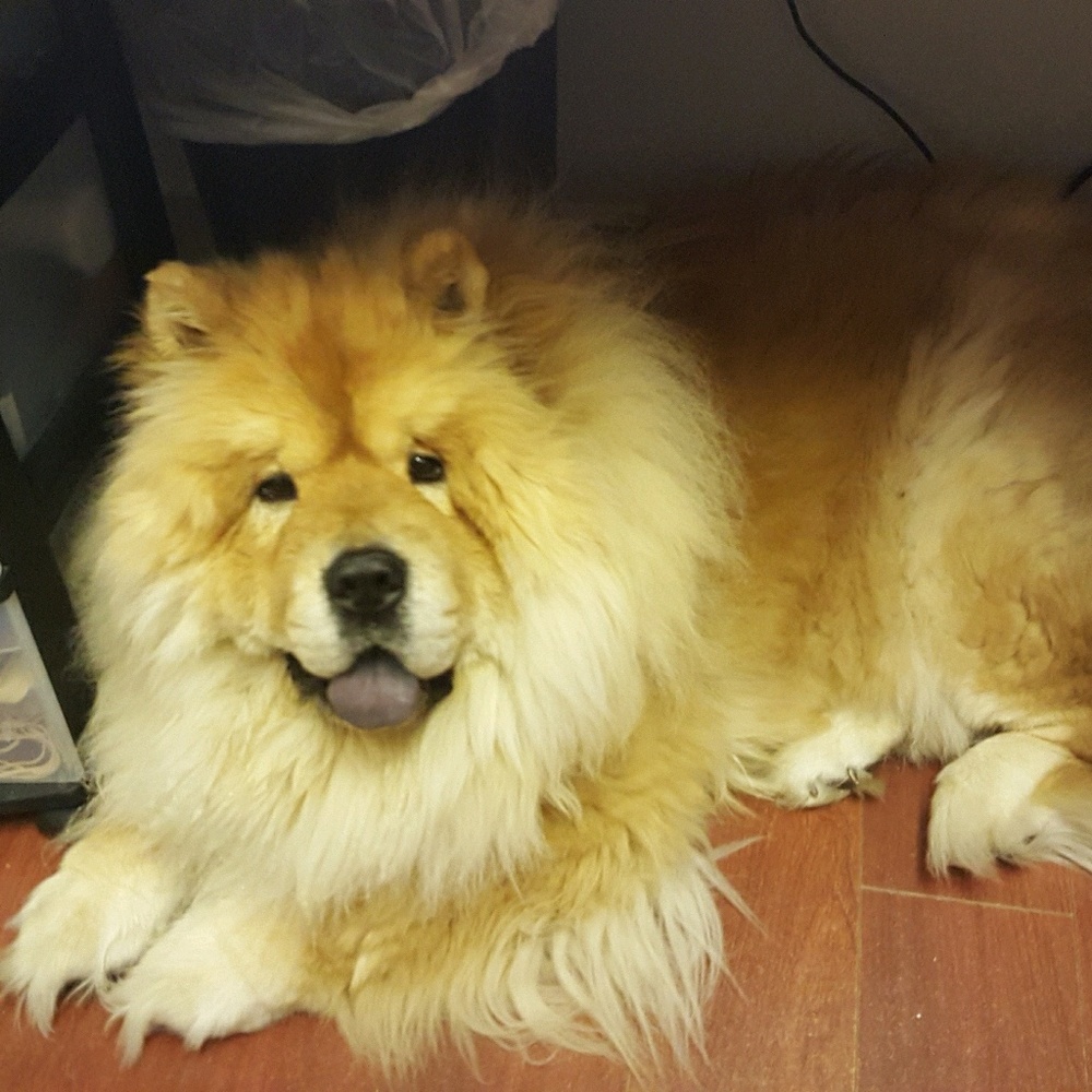 Meet your Posher, Kathleen